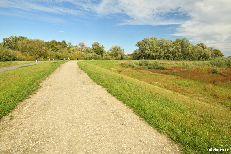 Ringdijk aan de Bunt