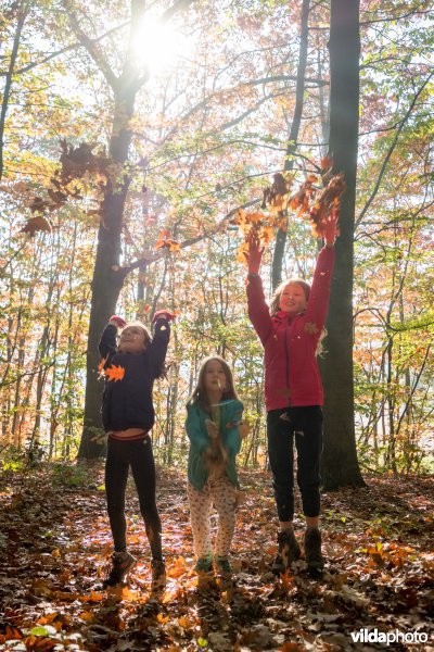 Spelen in het bos