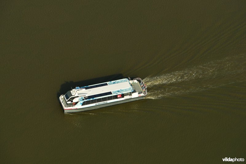 De Waterbus op de Schelde