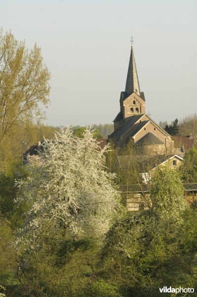 Kerk Zammelen