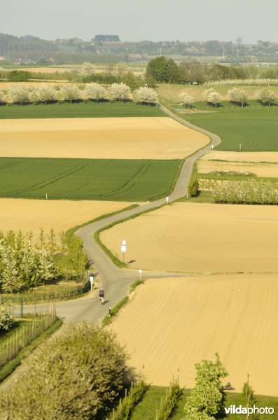 Romeinse kassei te Groot-Gelmen