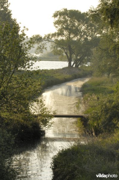 Brugje aan het Schulensbroek