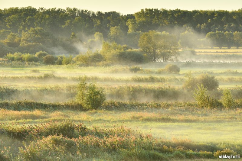 Soetensbroek aan de Blankaart