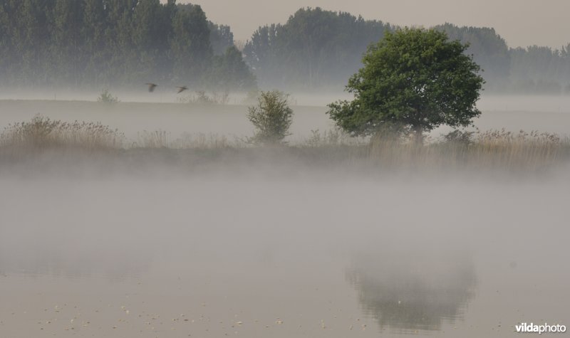 Oever van het schulensmeer