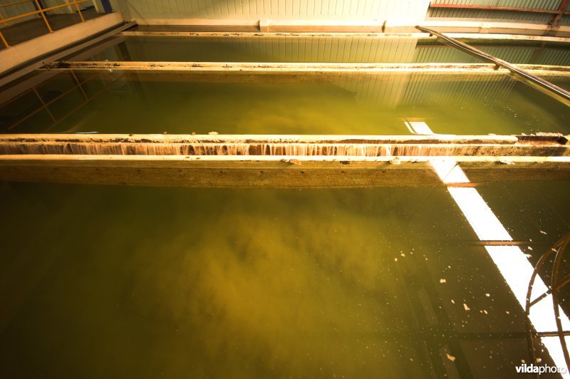 Decantoren in het WPC Kluizen