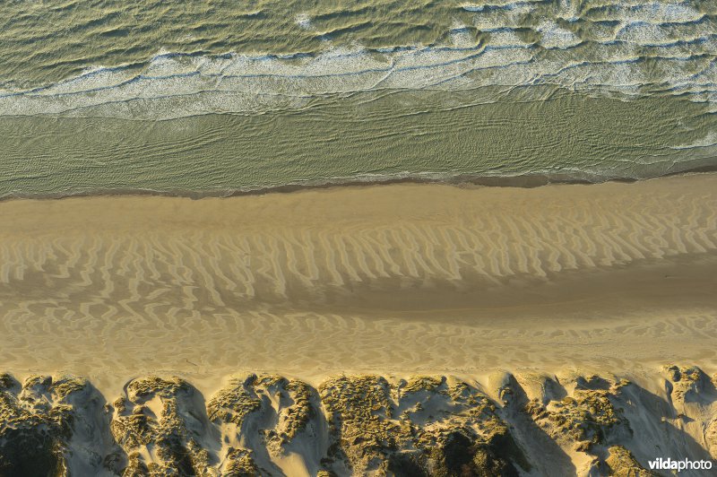 Zee, strand en duinen