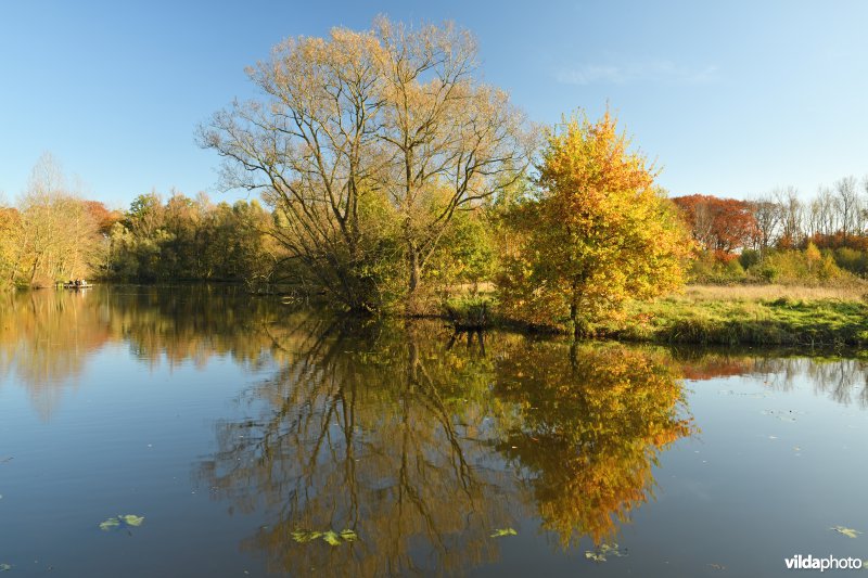 KBR polder: Bazelse kreek