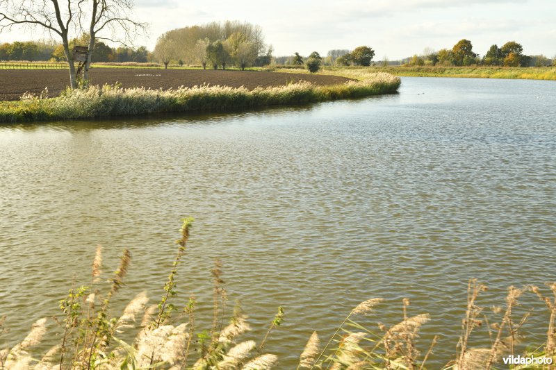 Oude Schelde in de Kalkense Meersen (R)