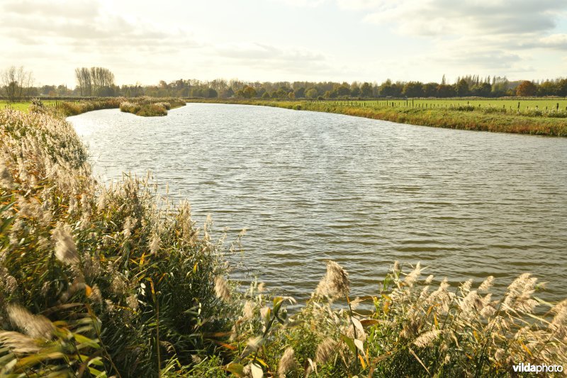 Oude Schelde in de Kalkense Meersen (R)