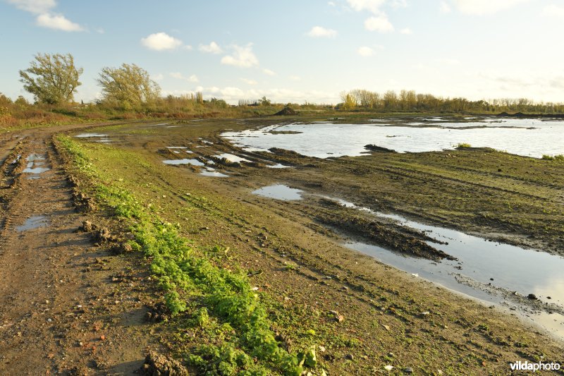 Groot Schoor in Kastel