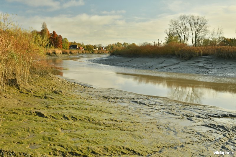 Vallei van de Durme