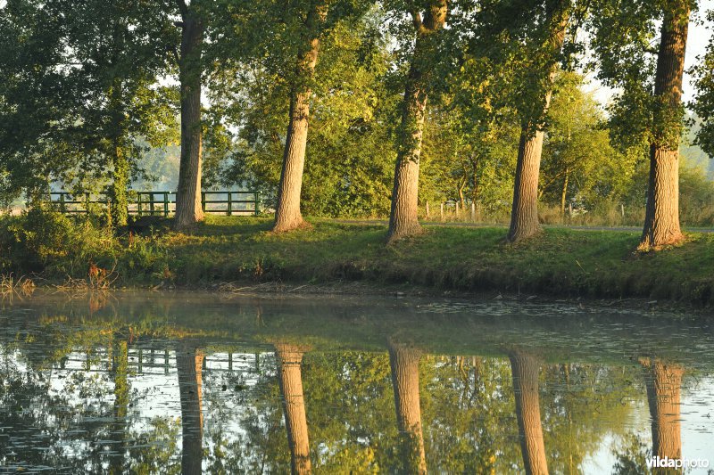 Oude Scheldemeander Van Looyput