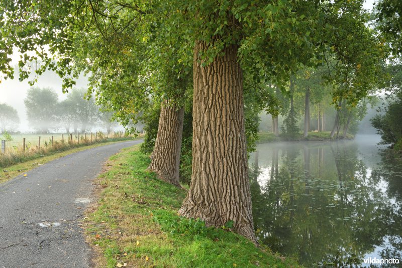 Oude Scheldemeander Van Looyput