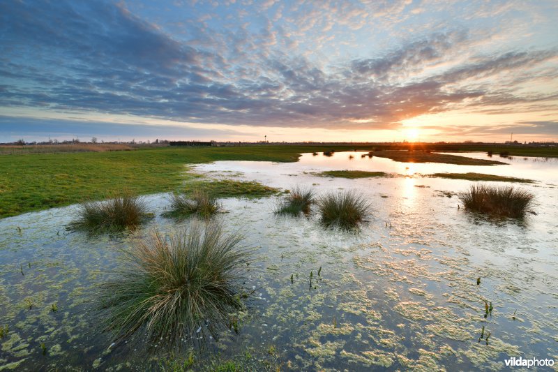 De Zwaanhoek 