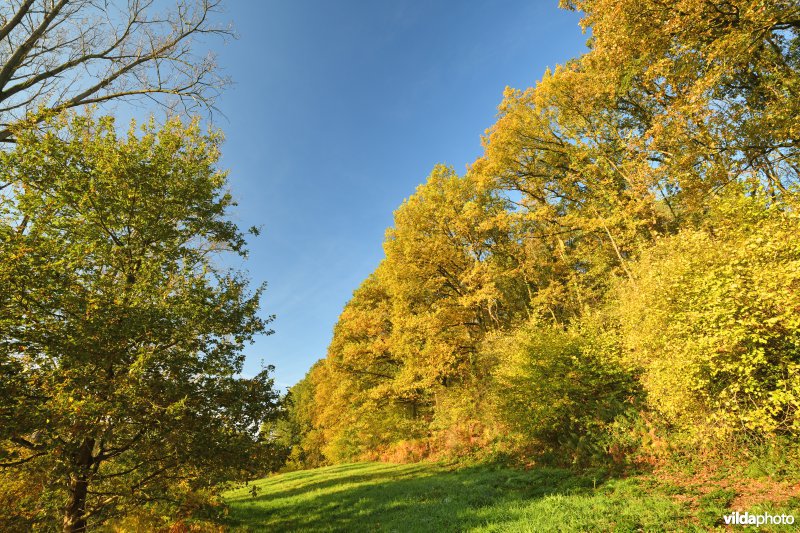 Getuigenheuvel Voortberg