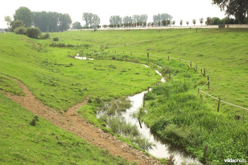 Zandbeek in de Maasuiterwaarden