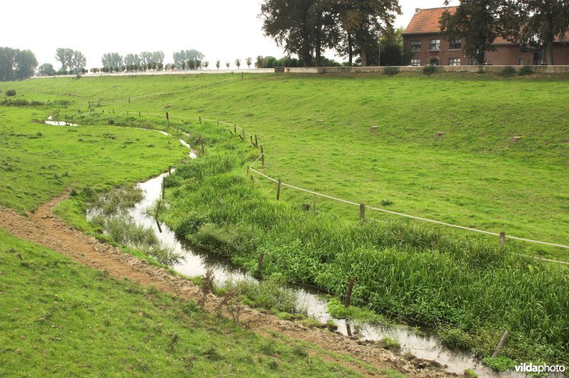 Zandbeek in de Maasuiterwaarden