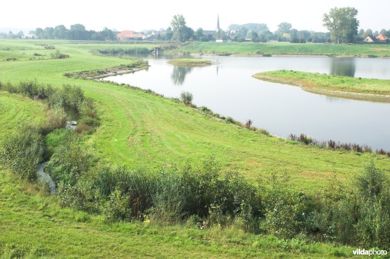 Bosbeek