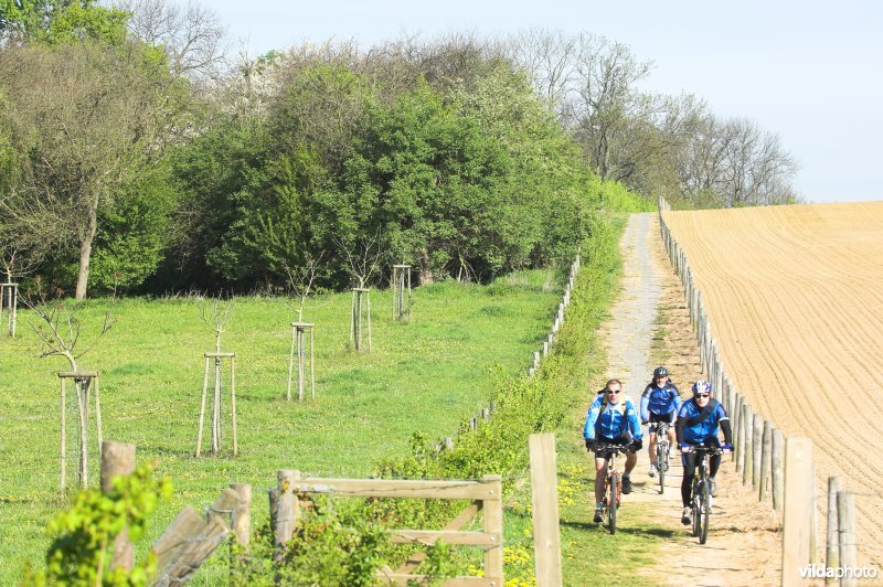 Natuurgebied Stasveld