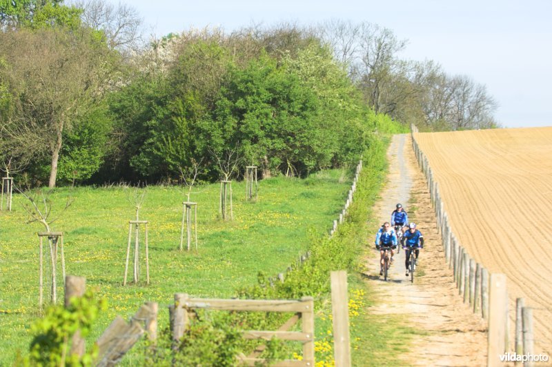 Natuurgebied Stasveld