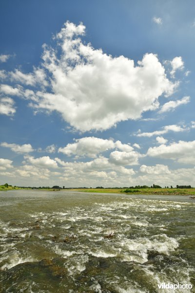 Stroomversnellingen op de Maas