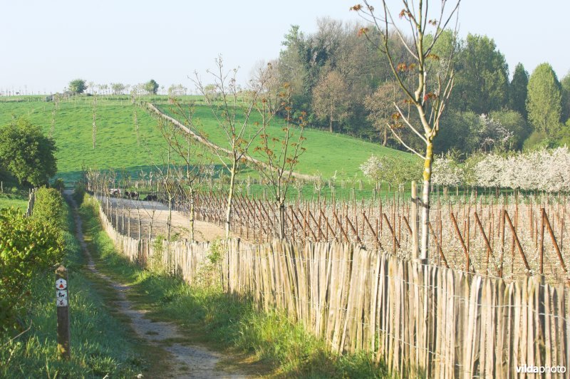 Reservaat Knoppel in Mettekoven