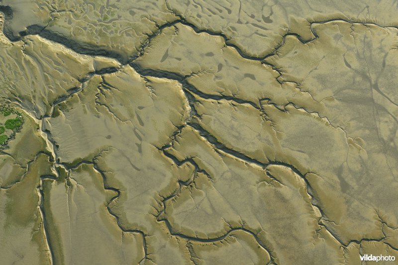 Scheldeschorren 
