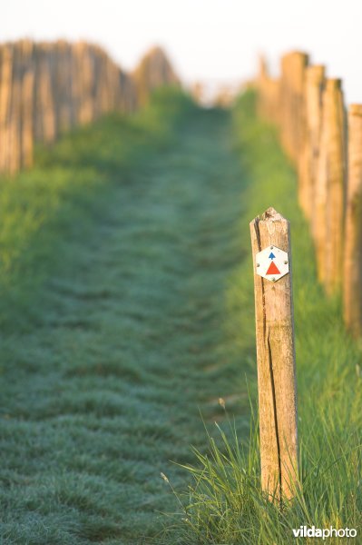 Wandelpaadje doorheen het reservaat Knoppel