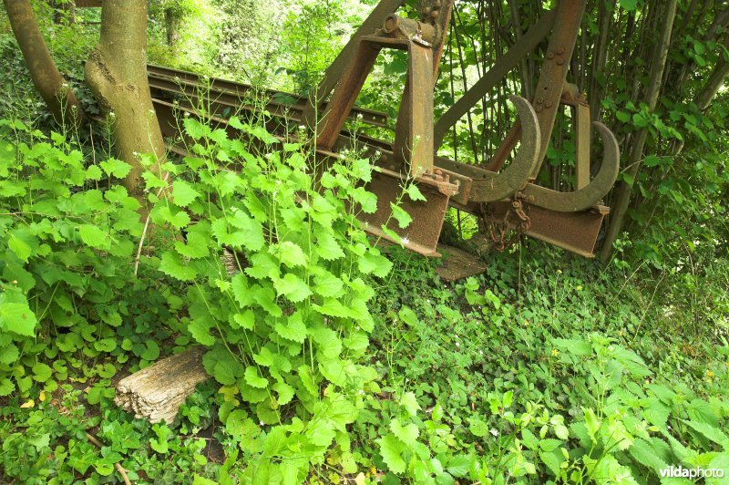 Oude rails op de terril van Bas Bois