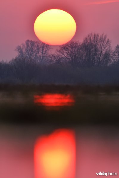 Zonsondergang in de Nemuno Delta