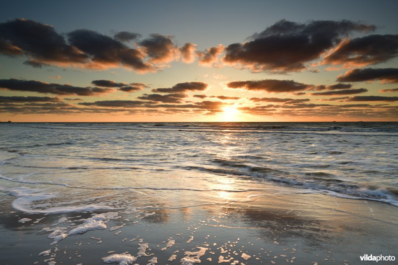 Strand van Blankenberge