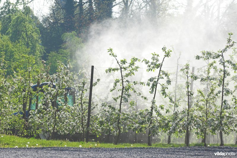 Besproeien van laagstamboomgaard met pesticiden