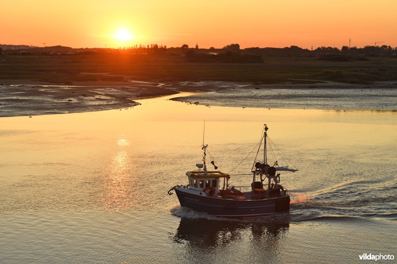 Vissersbootje in de IJzermonding