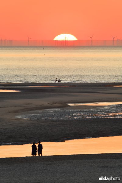 Badgasten aan de Zwingeul