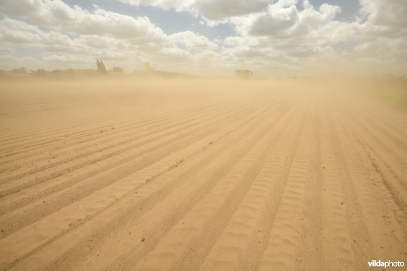 Zandstorm op uitgedroogde akker