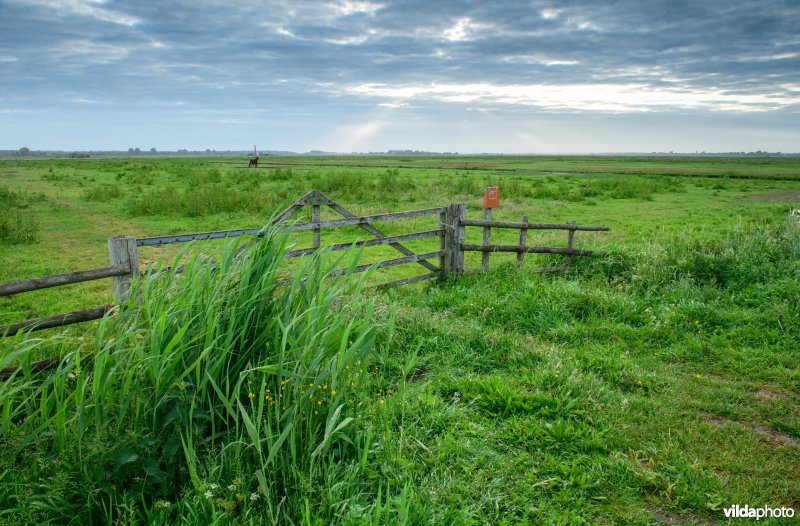 Polder Arkemheen
