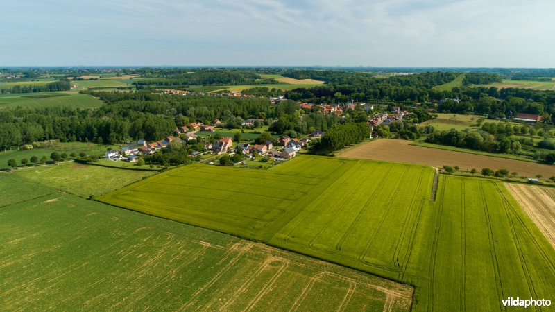 Akkerlandschap in Haspengouw, België