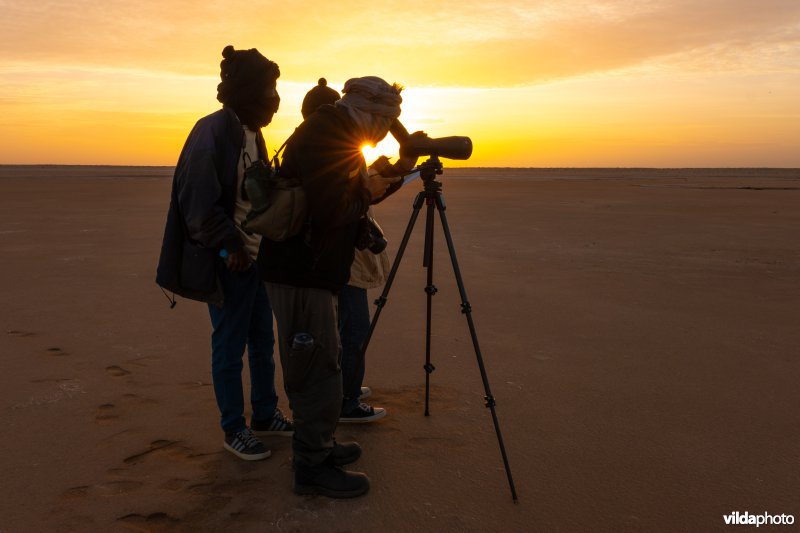 Banc d'Arguin, Mauritanië