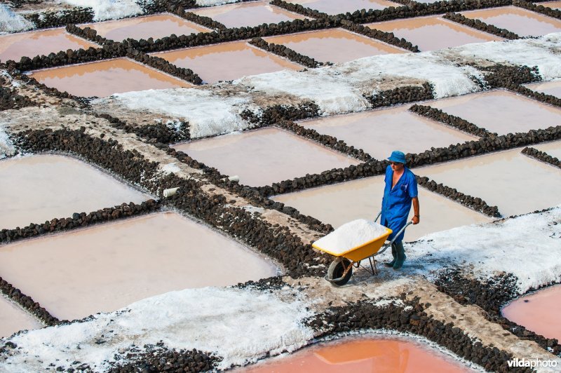 Zoutwinning bij Fuencaliente