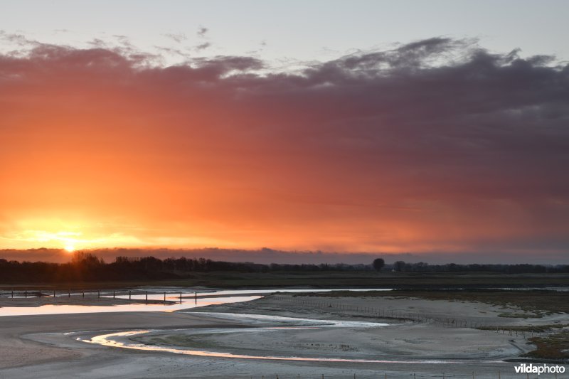 Zonsopgang boven de Zwingeul bij laagtij