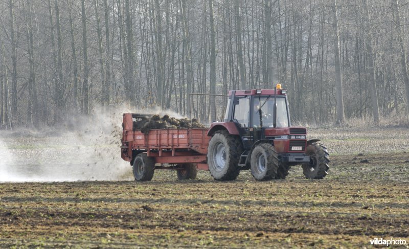 Uitrijden van stalmest