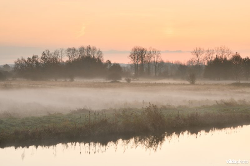 Demerbroeken