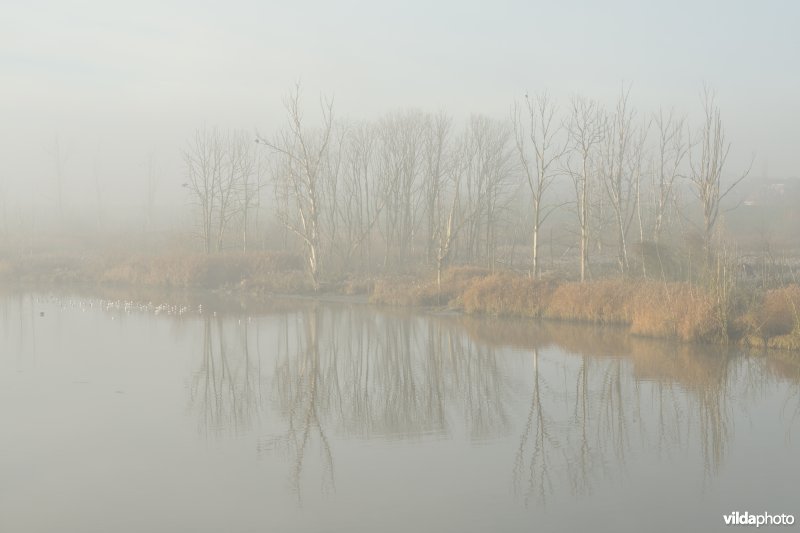 Barbierbeekgeul