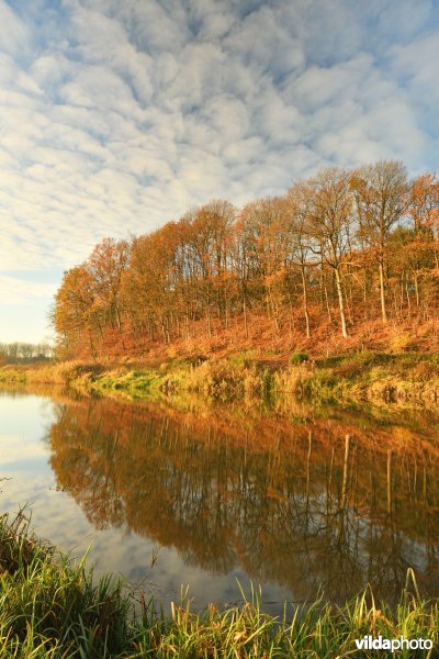 Voortberg aan de Demerbroeken in de herfst
