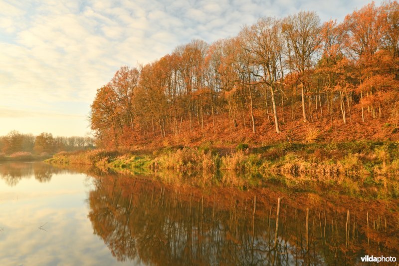 Voortberg aan de Demerbroeken in de herfst