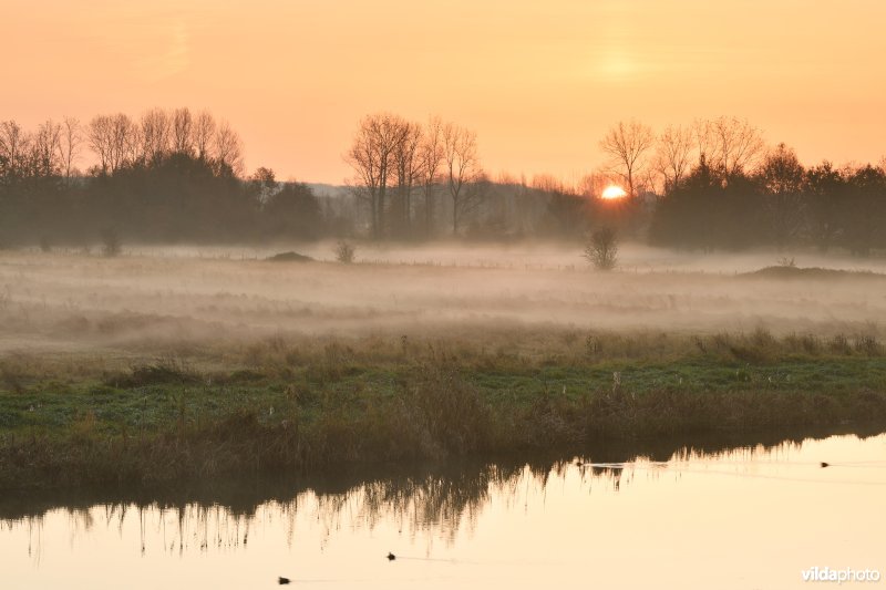 Demerbroeken