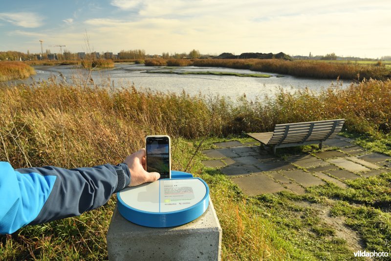 Fotopaal aan de Fasseitpolder