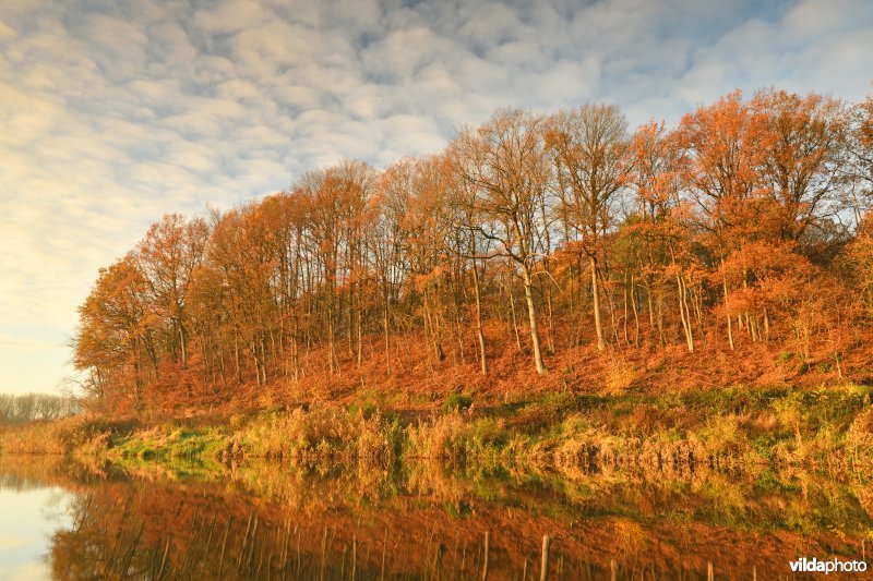 Voortberg aan de Demerbroeken