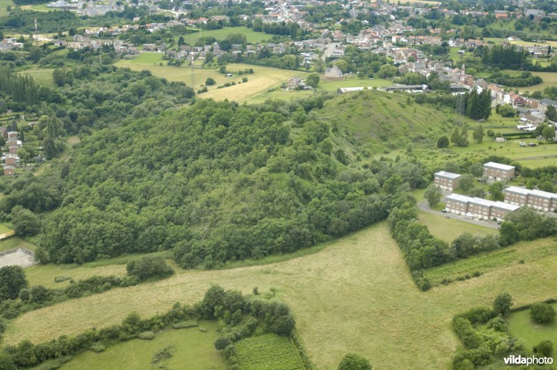 Terril Champ d'oiseaux