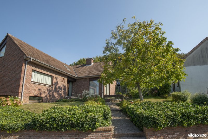 Voortuin met gazonnetje en boom